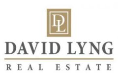 David Lyng Logo 1 300x200